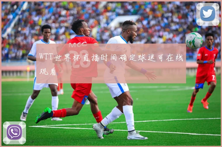 WTT世界杯直播时间确定球迷可在线观看